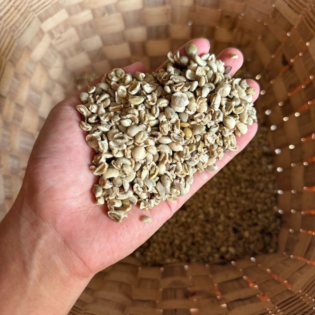 

menir kopi bersih 1 kg broken beans kopi sirsa