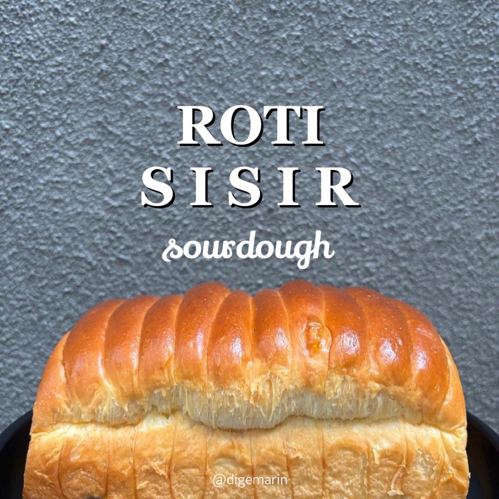 

SOURDOUGH SISIR PREMIUM - Digemarin