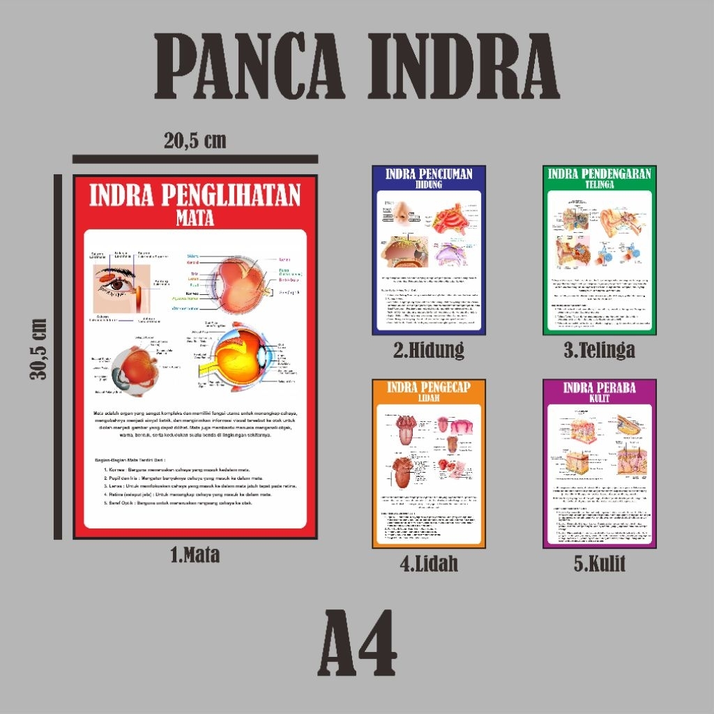 Poster Panca Indra (A4)