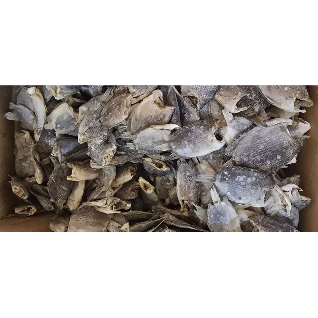 

ikan asin tembakang / tamakang