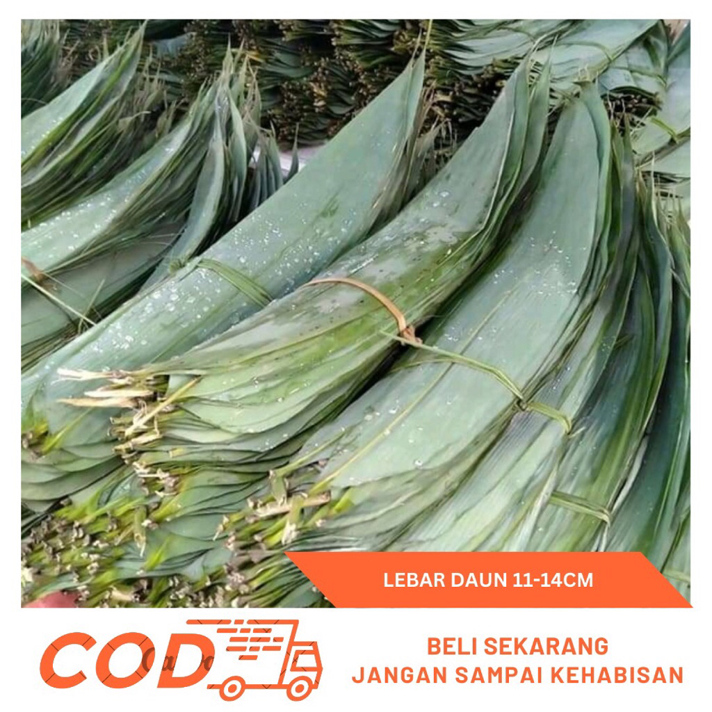 

Jual Daun Bambu Segar 1kg- Daun Bambu Bungkus Bacang