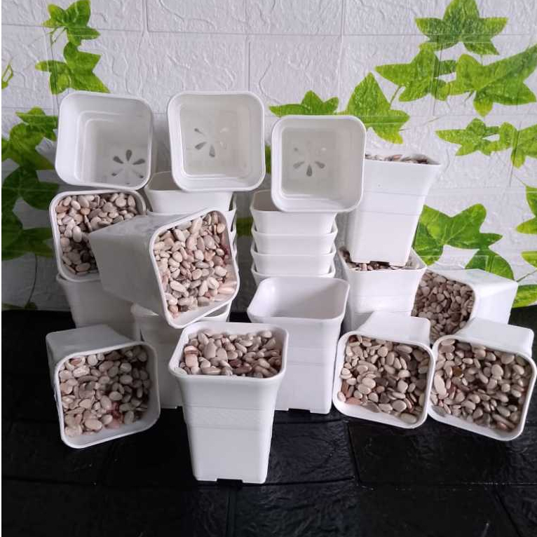 pot kotak sofi plastik 10cm pot + busa +batu // POT KOTAK KECIL SOFI 10 CM PUTIH=BATU POT KATUS