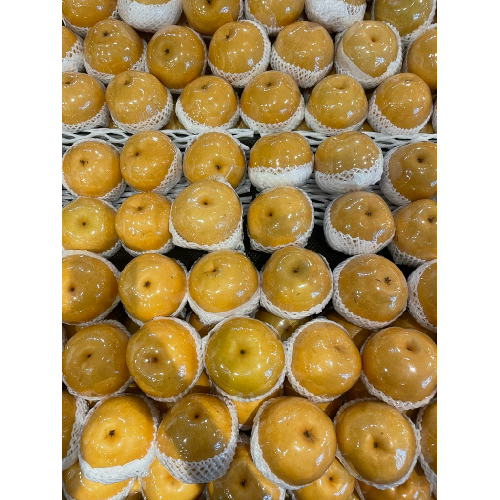 

Pear Singo korea Jumbo / Buah Pear Singo Korea Premium