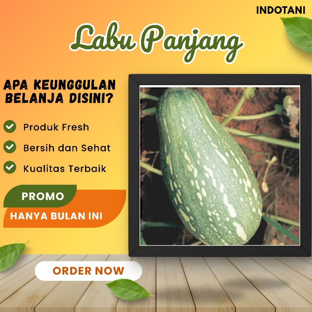 

INDOTANI_ Labu Waluh Panjang / Waluh Kuning Lonjong