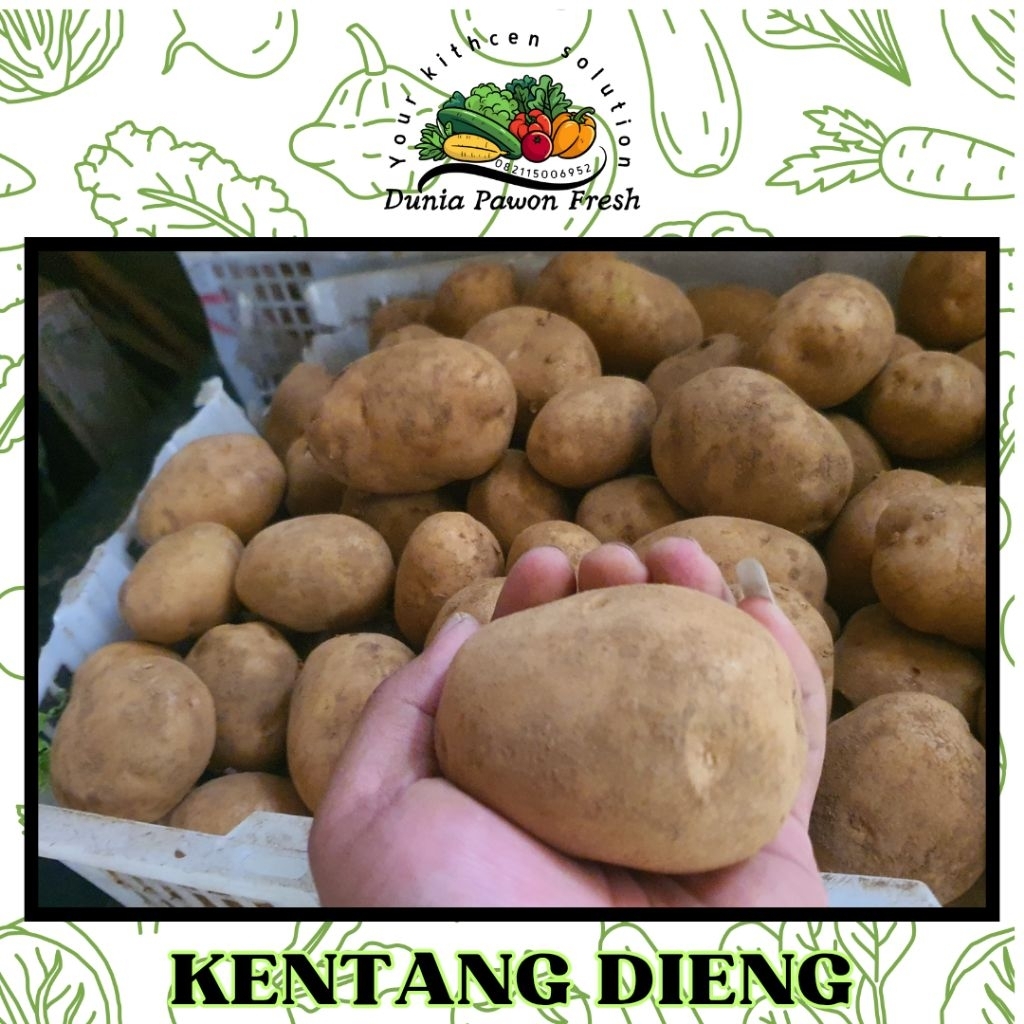 

Kentang Dieng