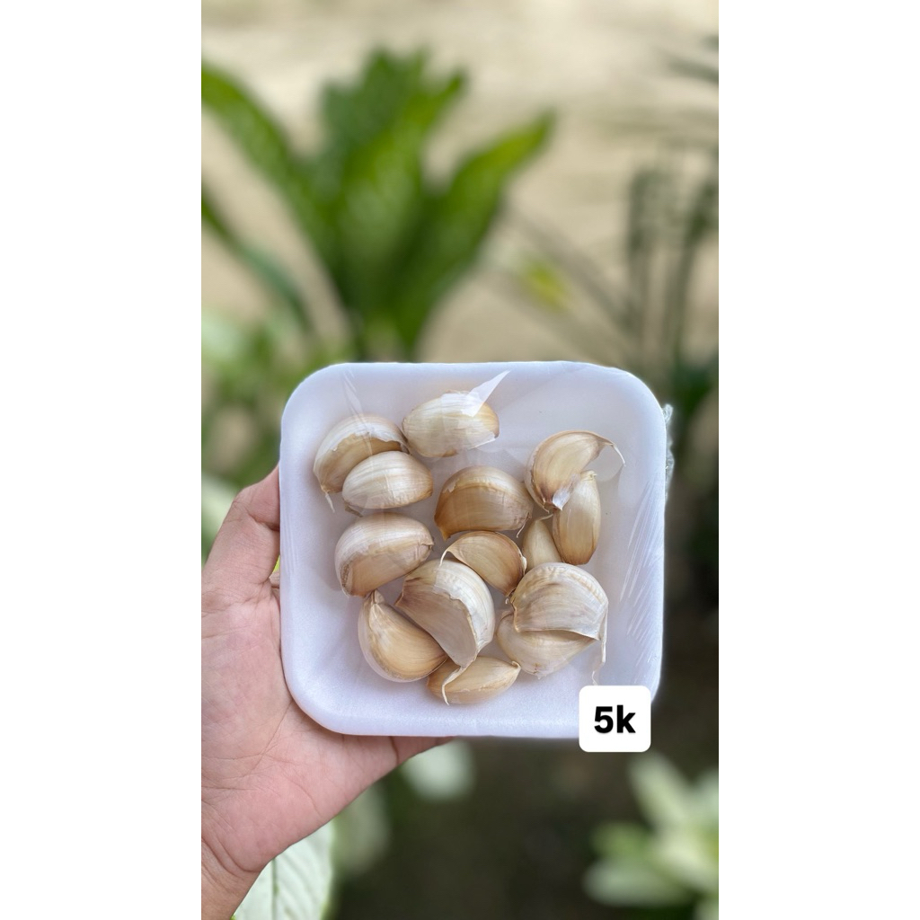 

bawang putih