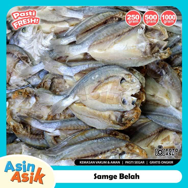 

Ikan Asin Samge Segar Fresh Bersih Kemasan Vakum Asin Asik