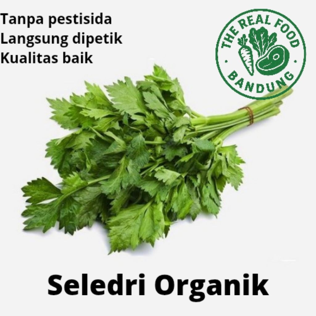 

Seledri Organik 50 gr Hidroponik Tanpa Pestisida MPASI Organic Celery Langsung di Petik dari Pohonnya by The Real Food Bandung