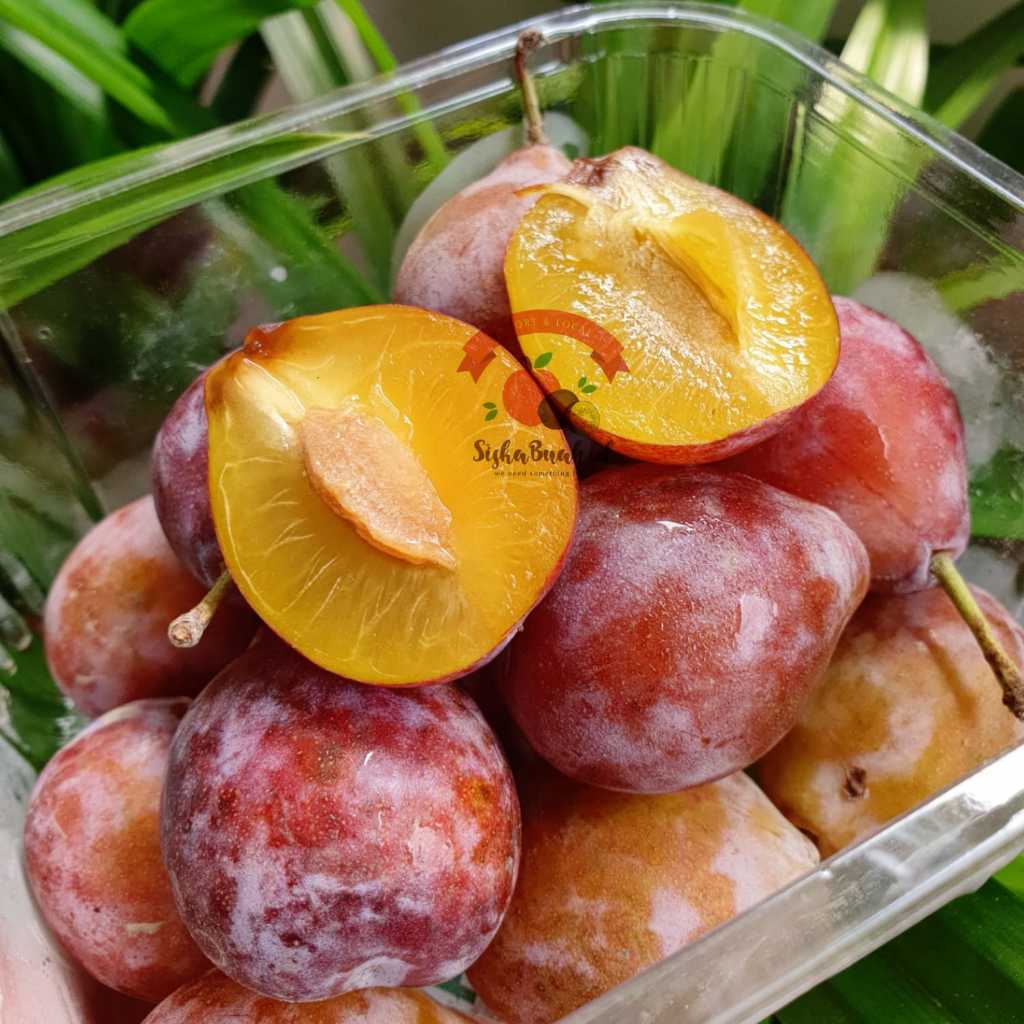 

SUGAR PLUM | FRENCH PRUNES | BUAH PLUM MANIS | PLUM IMPORT FRESH
