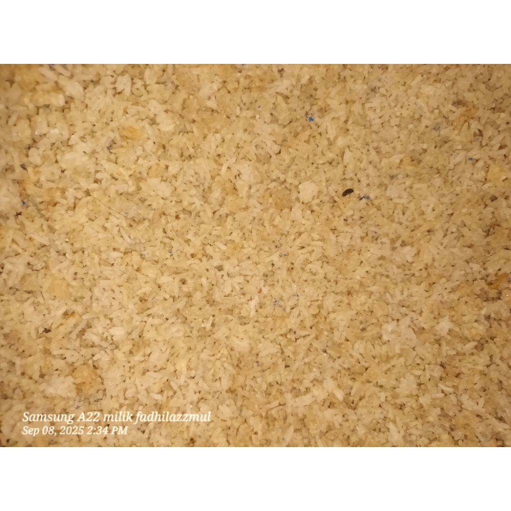 nasi kering/nasi aking/karak