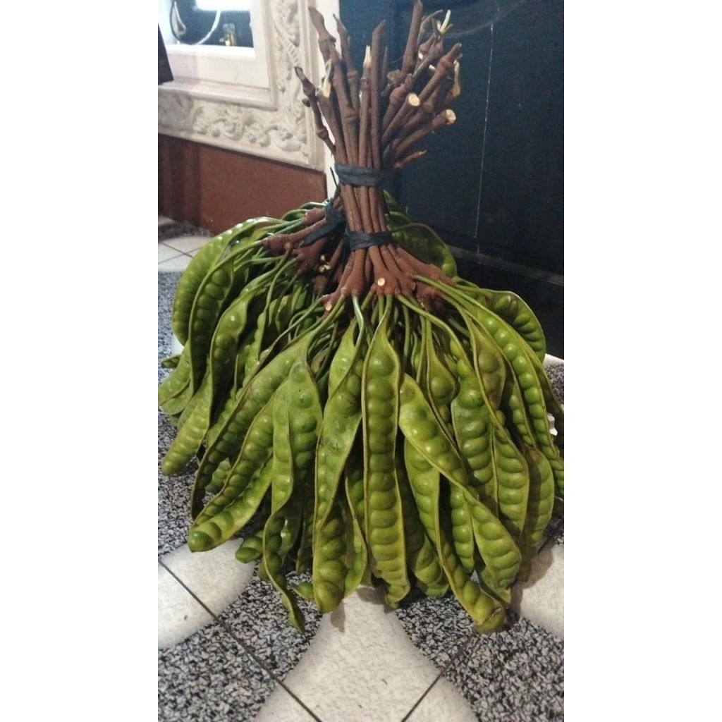 

Link CO Makanan Tradisional