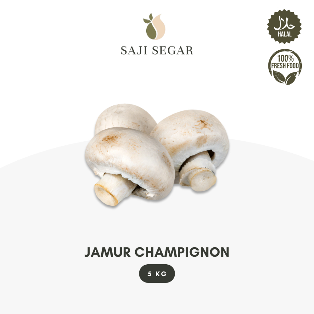 

Saji Segar Jamur Champignon / Kancing Grosir