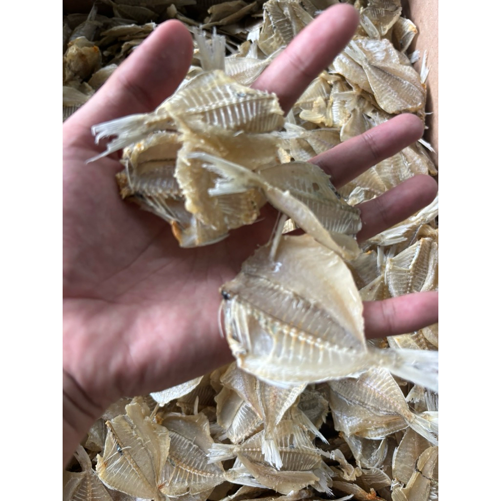 

Ikan Kapasan Tawar Tipis 1000gr