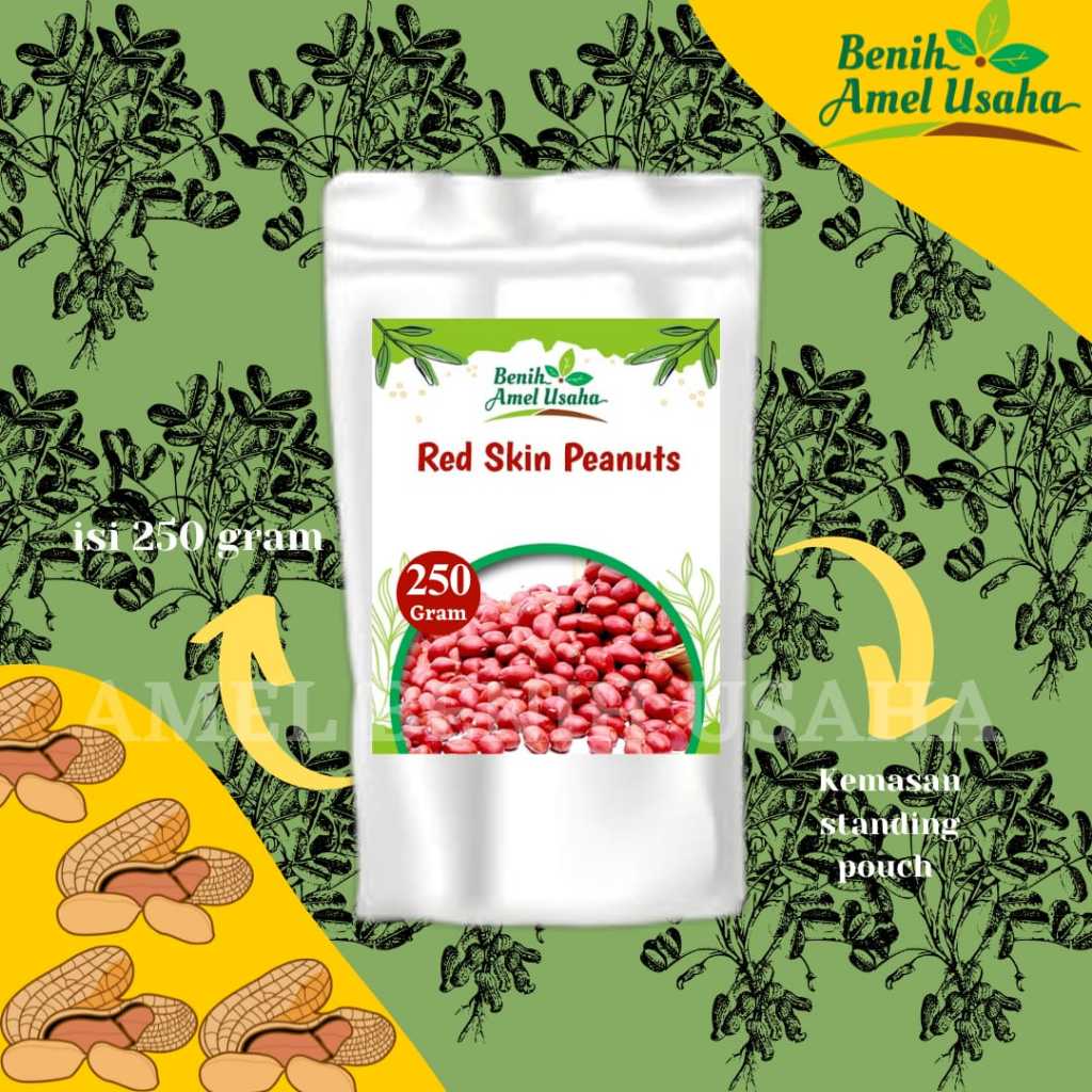 benih kacang tanah hibrida merah isi 250 gram / benih bibit kacang tanah merah super / benih kacang 