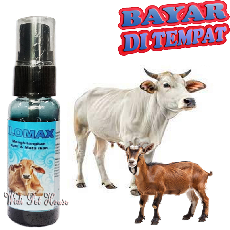 Obat Kapalan Sapi Kambing Kuda PAPPILOMAX Sakit Kutil Mata Ikan