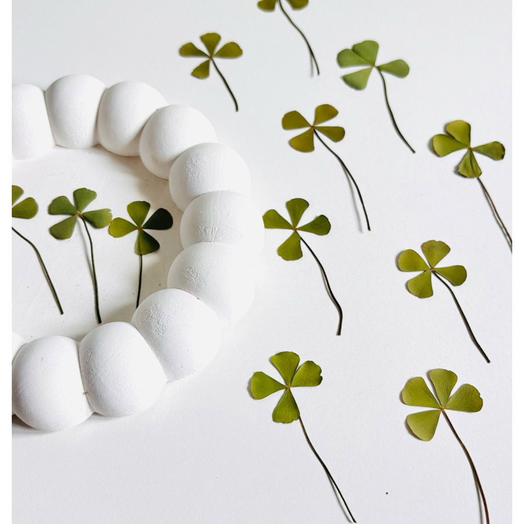 pressed daun semanggi //  pressed clover bunga kering semanggi oshibana 10 pcs