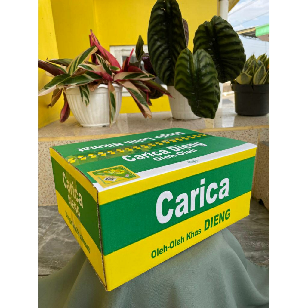 Carica Minuman Khas Dieng |box isi 60cup 65ml.|100%gula asli.
