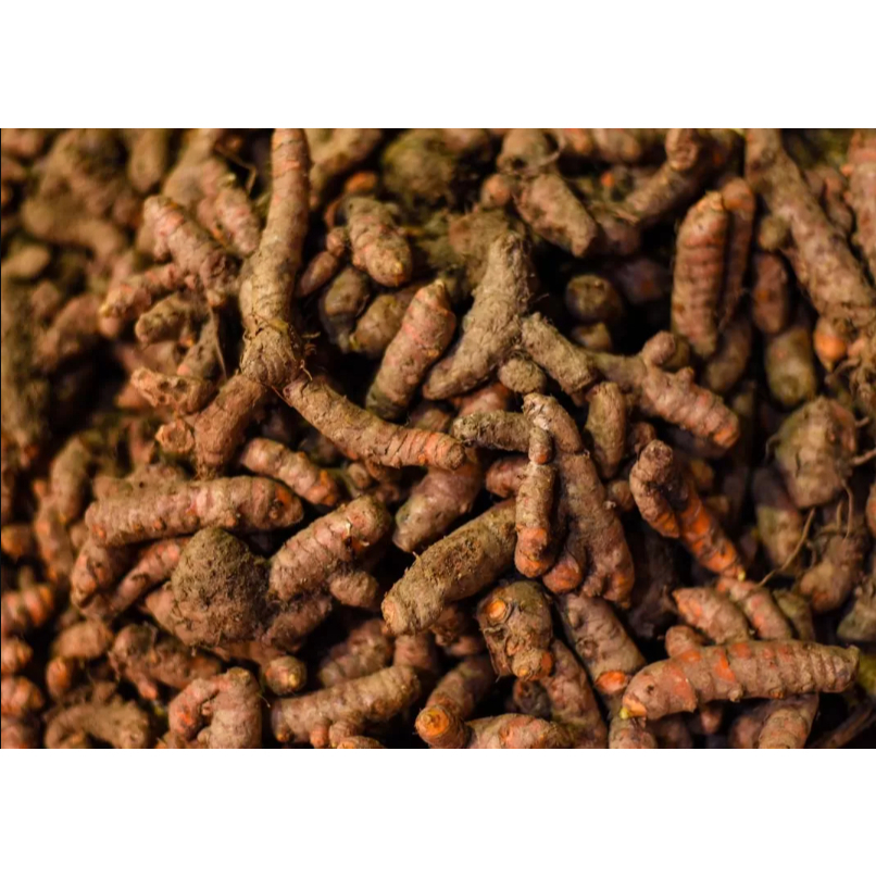 

1 Kg Kunyit Segar/ 500 gram kunyit bumbu