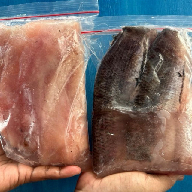 Daging fillet ikan gabus 1kg / pack