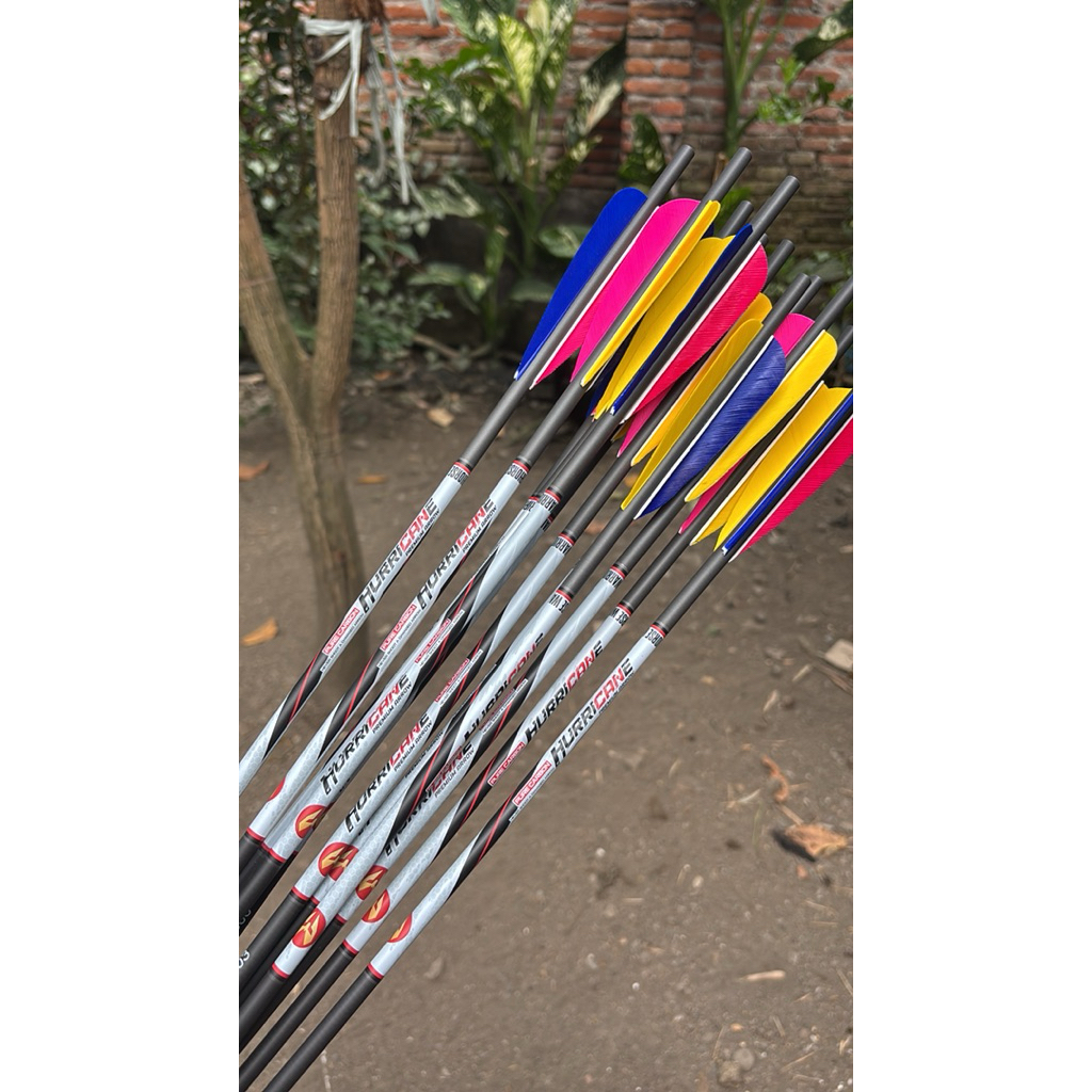 Arrow carbon Hurricane