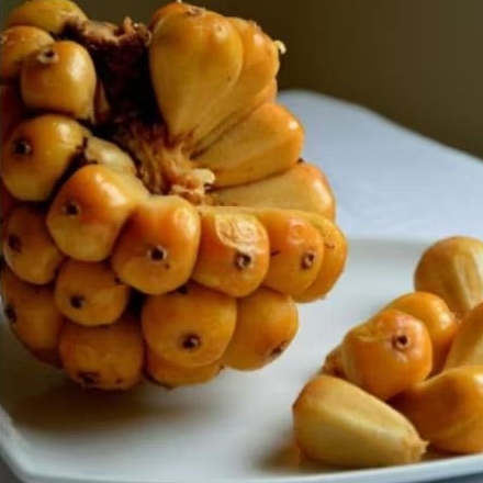 

Asam Cikala Bumbu/ Herbal Medan( Utuh tidak dikopek)