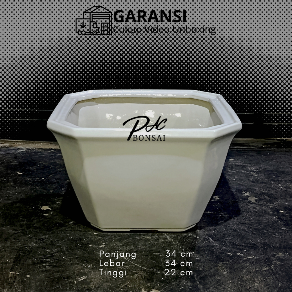 PAC Bonsai | Premium Pot Bonsai Berbahan Keramik Berukuran Besar