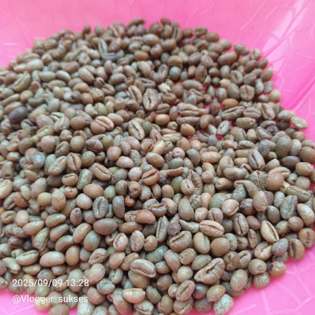 

Biji Kopi Lanang peaberry 200 gram