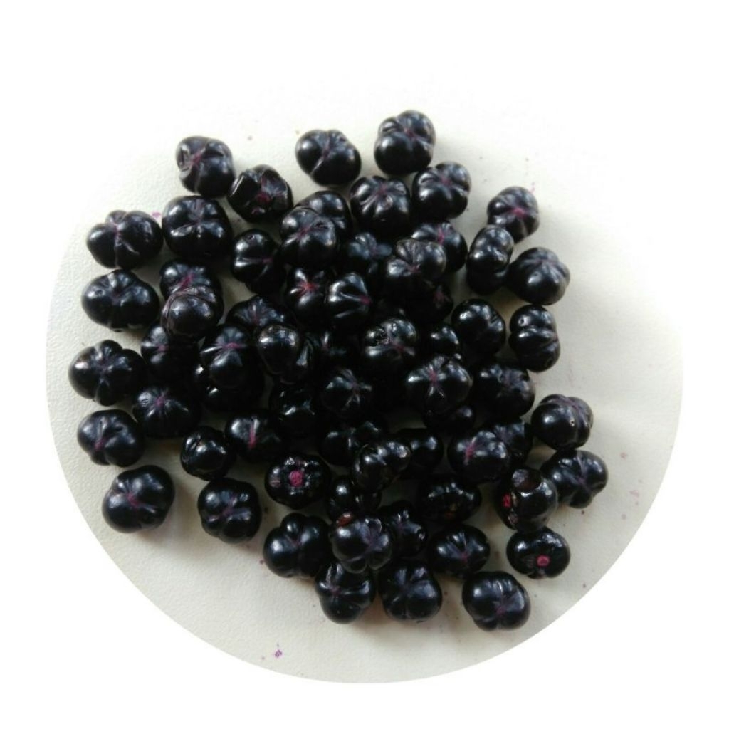 

Buah Angkung Segar Fresh Langsung Petik Herbal Alami Stroke