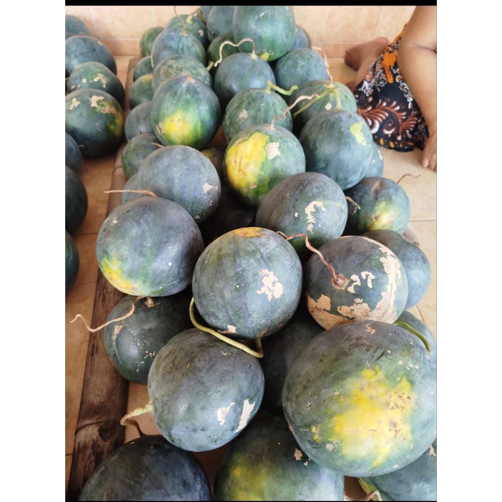 

Semangka Merah Manis Non Biji