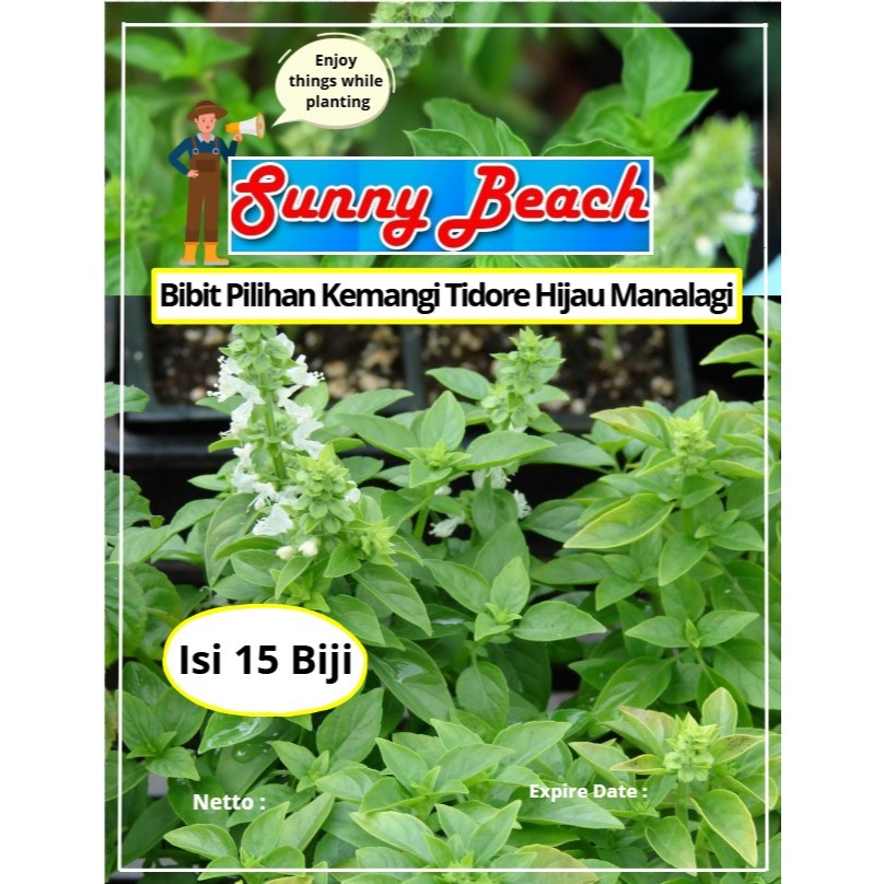 Bibit Pilihan Kemangi Tidore Hijau Manalagi | Biji Benih Kemangi Tidore | Kemangi