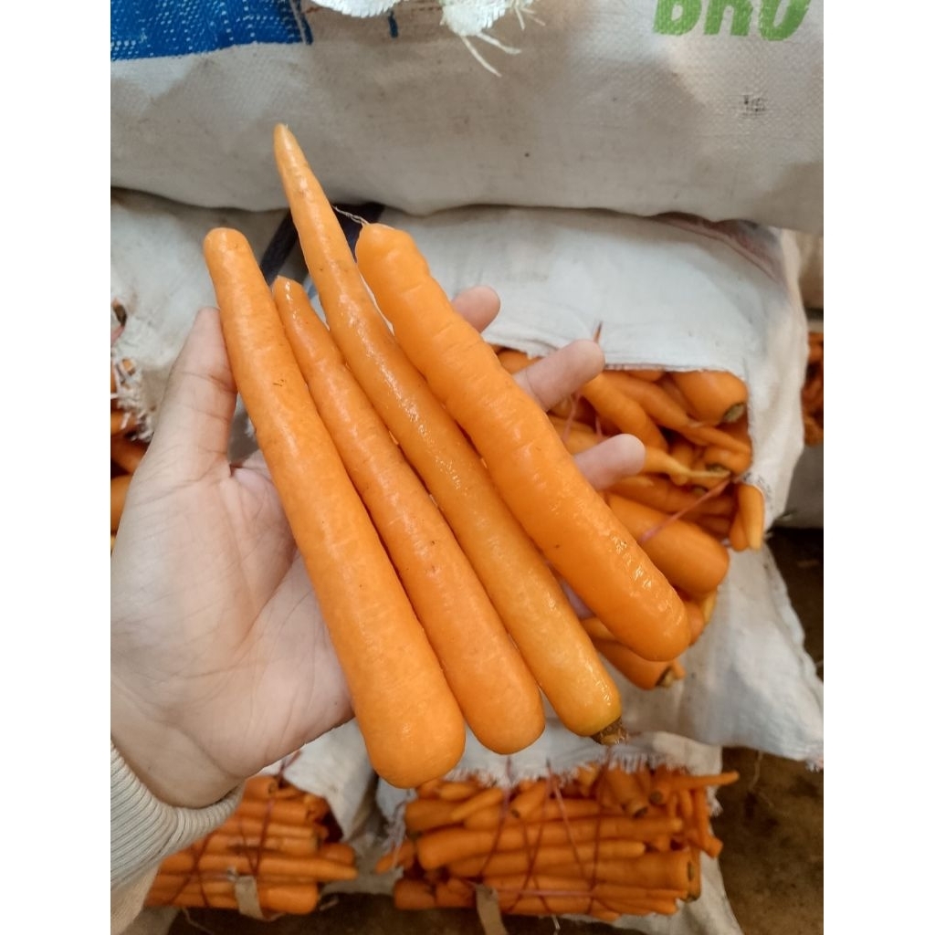 

Wortel Lokal Mix Segar Fresh 250gram