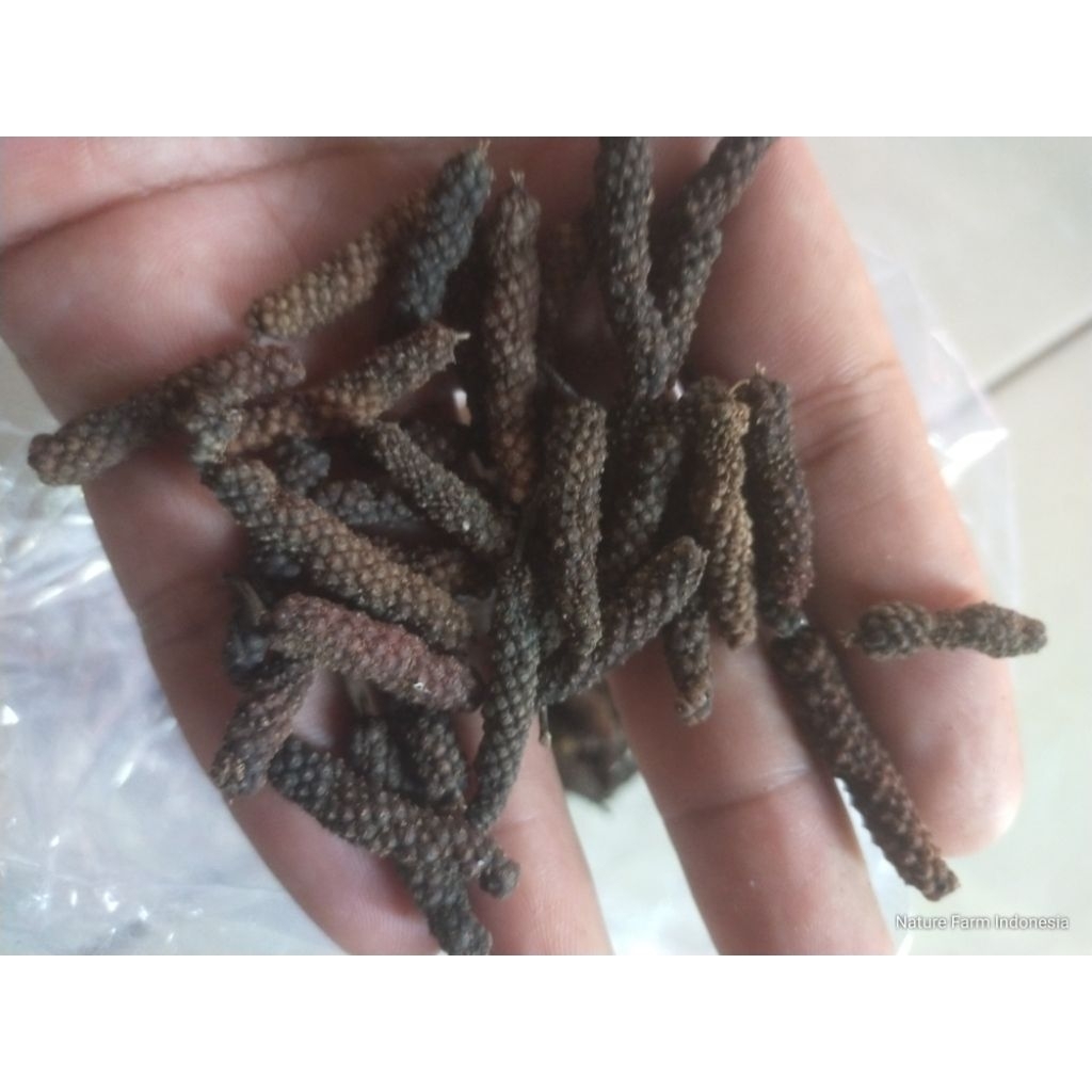 Cabe Jamu / Cabe Jawa / Cabe Puyang kering 1kg