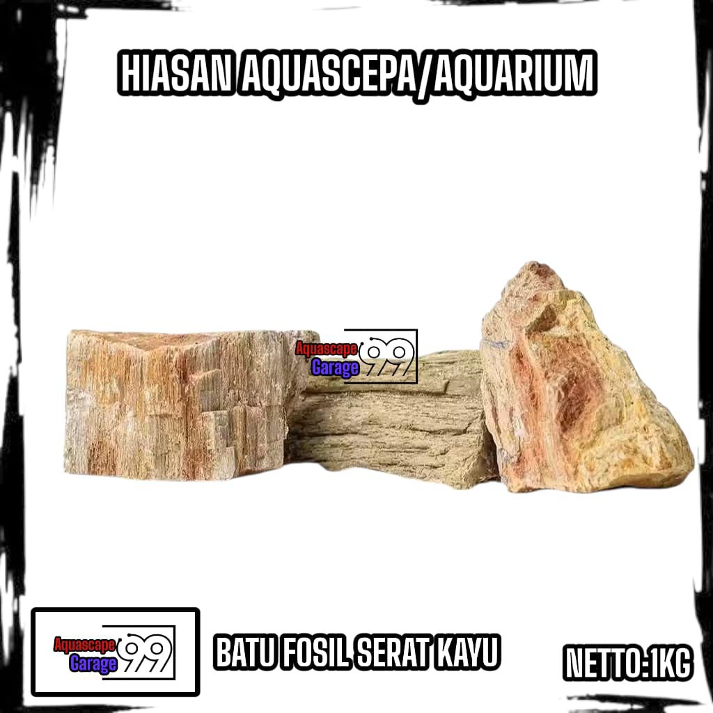 Batu fosil serat kayu aquascape 1kg / batu fosil serat kayu / batu fosil aquascape / batu aquascape