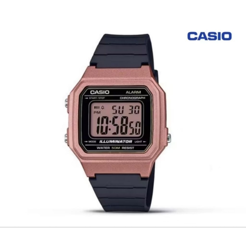 Jam Tangan Casio Wanita LW-204-1ADF sport