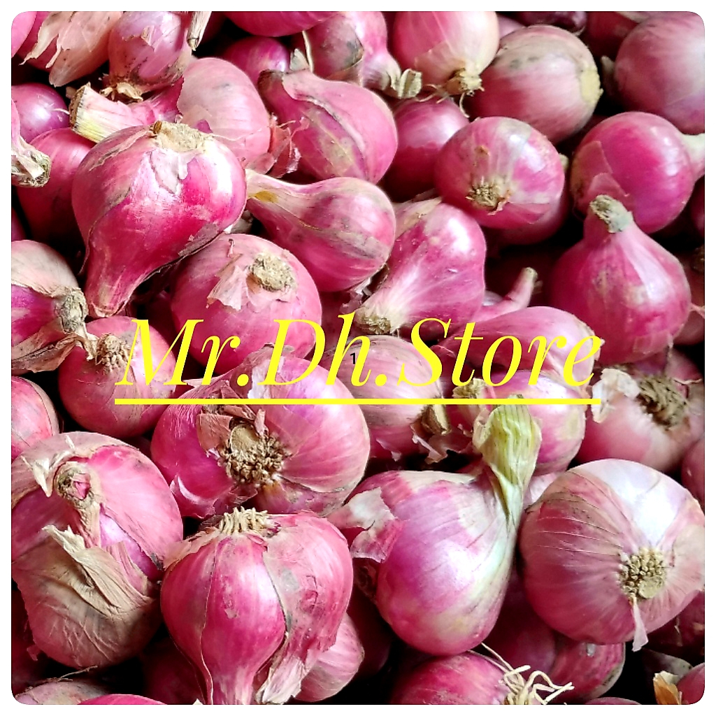 

1 kg bawang merah segar asli garut berkualitas