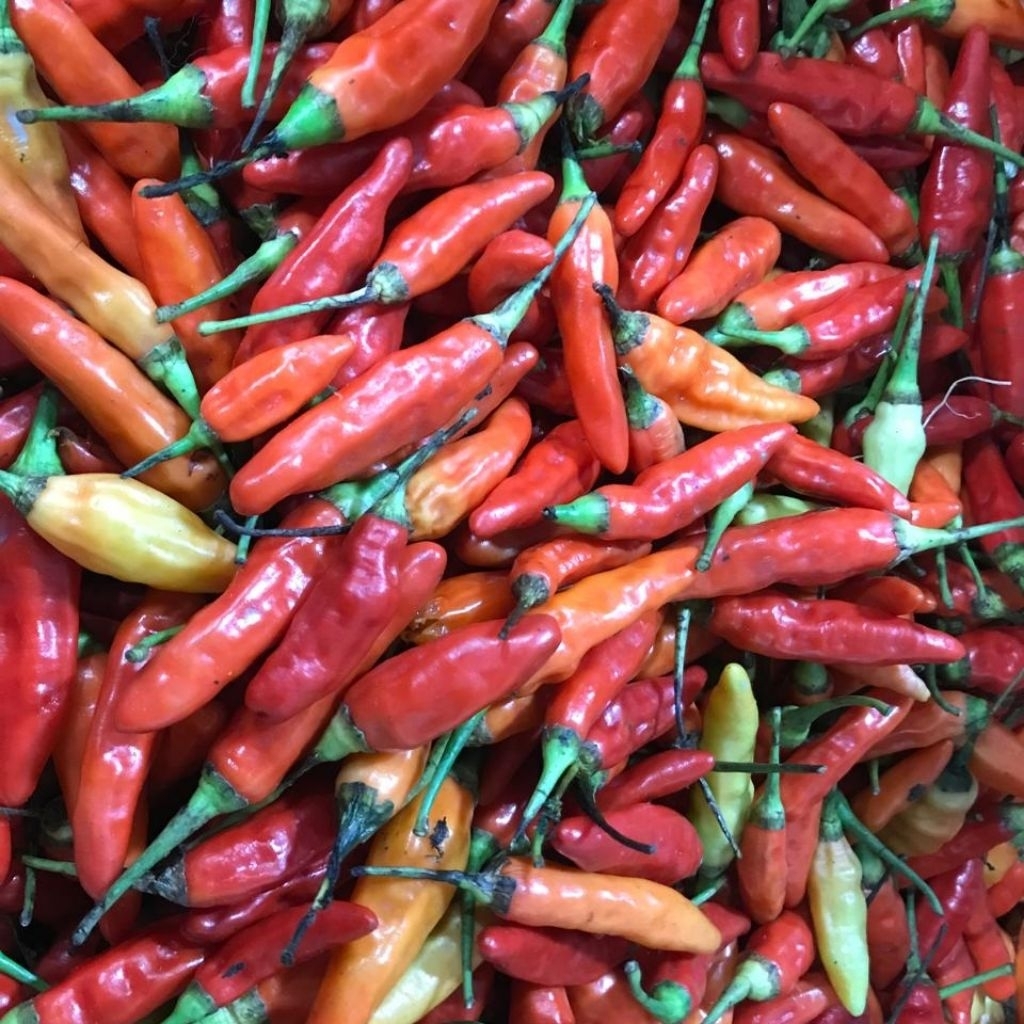 

Cabe Rawit Merah Pedas 500g @PasarKota