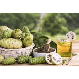 

BUAH MENGKUDU / PACE