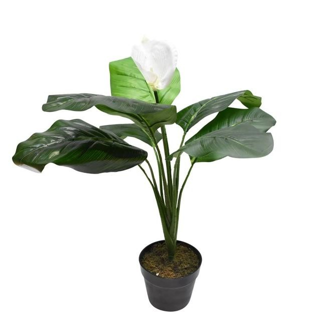 Tanaman Artifisial Spathe Dengan Pot 60X60X70 Cm