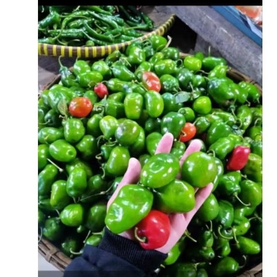 

Cabe Bendot Gendot Viral 250gr