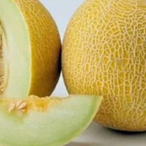 

Melon utuh ukuran 2kg -3kg