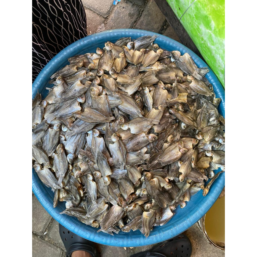 

ikan kering sepat