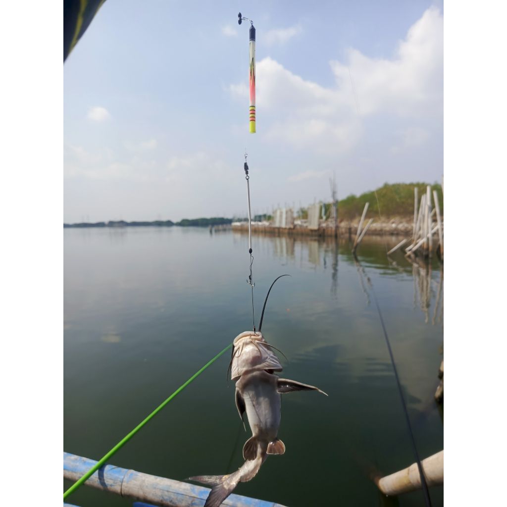 Rangkaian Pancing Belanak Media Tepung