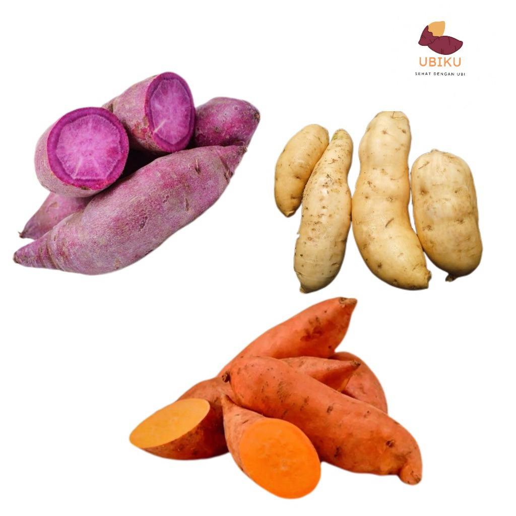 ubi jalar ungu, ubi madu cilembu, ubi jalar oranye, 1kg Packing Kardus Aman (Besar/Tanggung/Kecil)