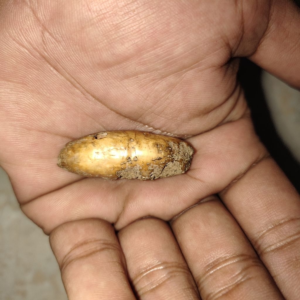 warisan mbah barang kuno antik langka mbntkkpmpng unik