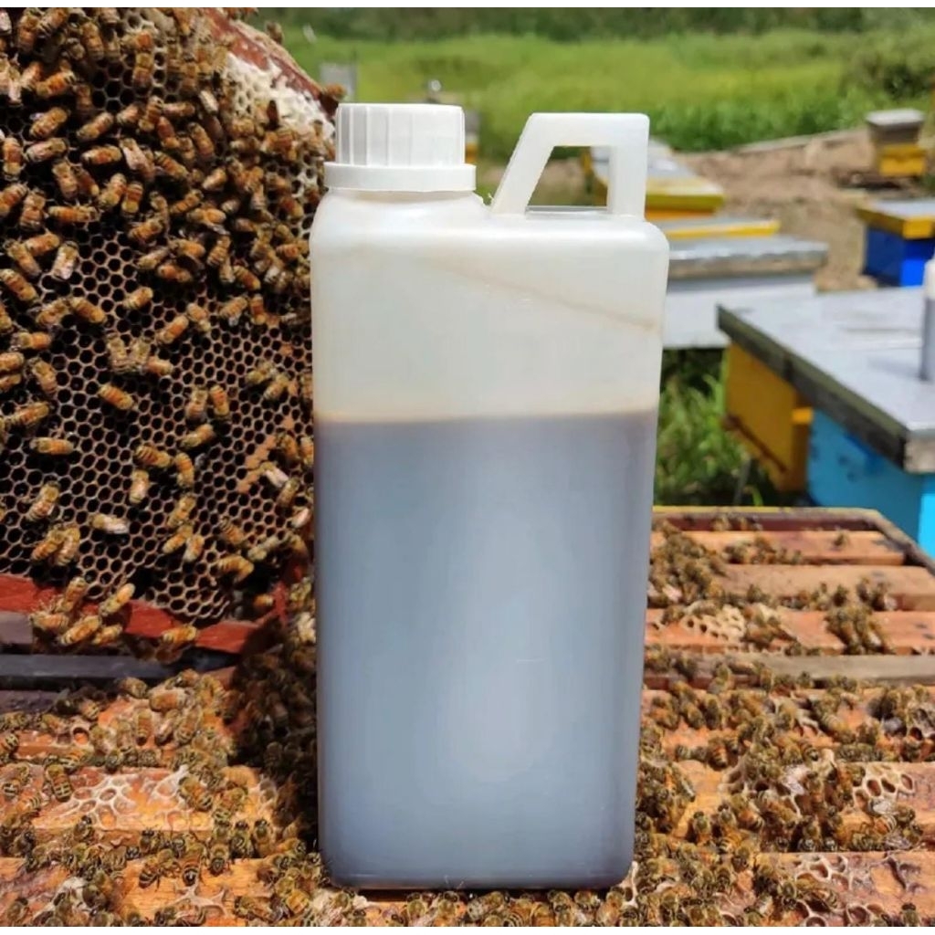 

Madu Hitam Akasia 5kg