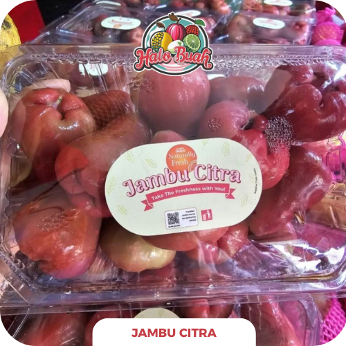 BUAH LOKAL Jambu Citra 1kg