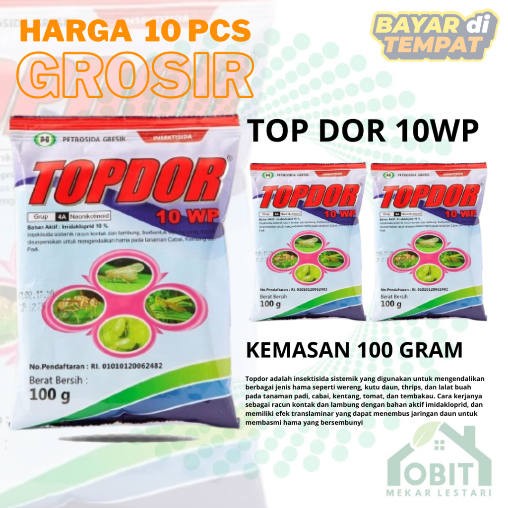 Topdor HARGA GROSIR 10PCS 10 WP Insektisida Sistemik 100g Original KEMASAN PABRIK