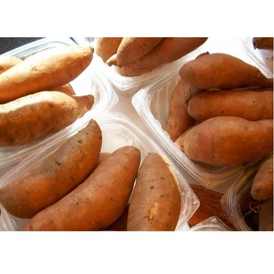 

ubi jalar manis,leezat beresih asli petani lokal,ubi jalar kaya serat mengandung vitamin A dan C