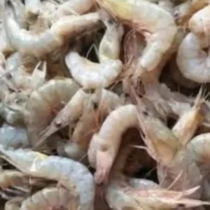 

udang vaname kecil 500g