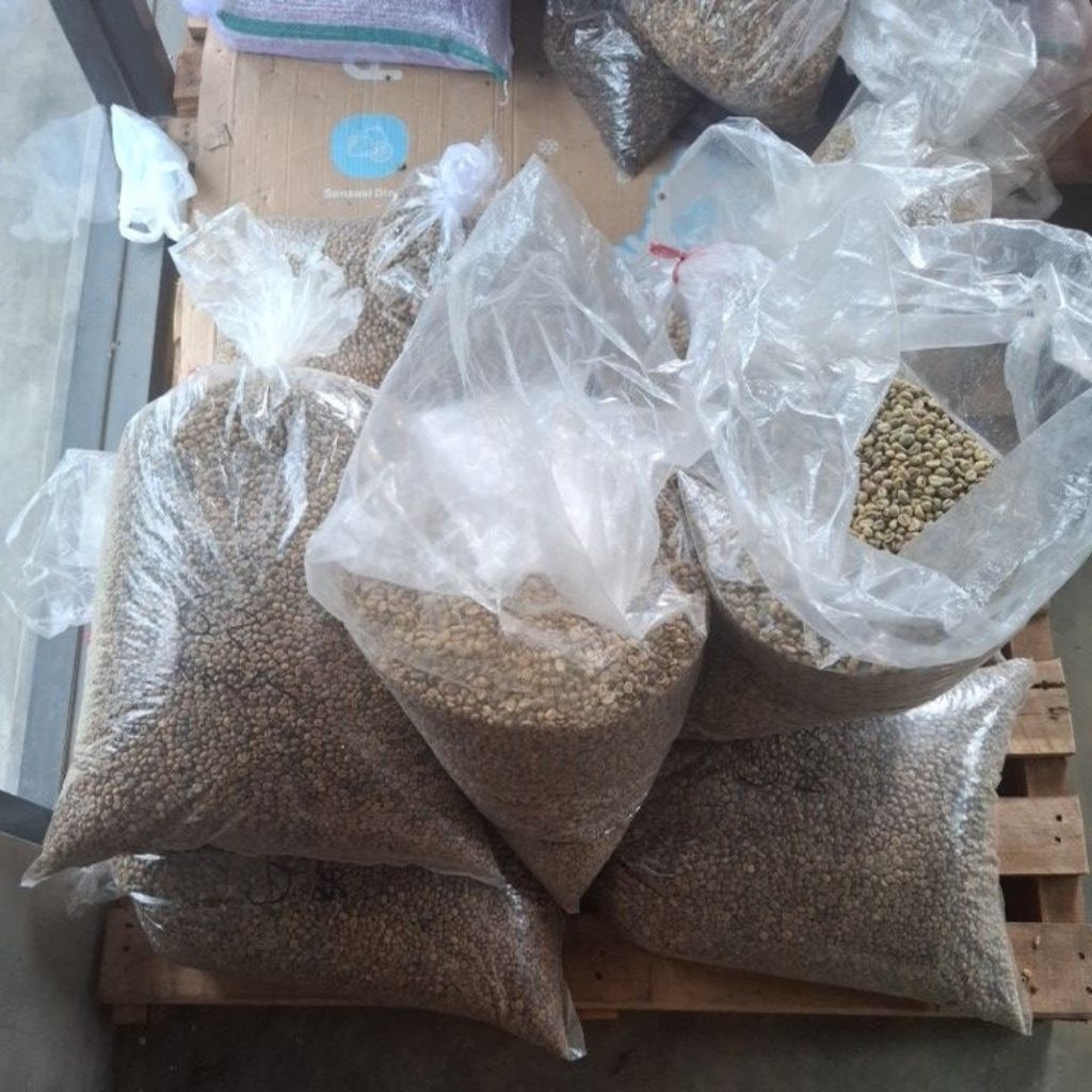 

Biji Kopi Mentah Green Bean Robusta Natural Process Grade B 10Kg – Premium Asli Kuningan